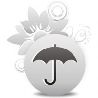 Website Management Services